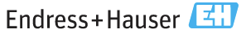 Endress+Hauser logo